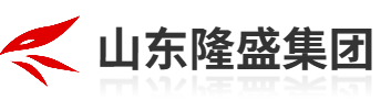 隆盛集团